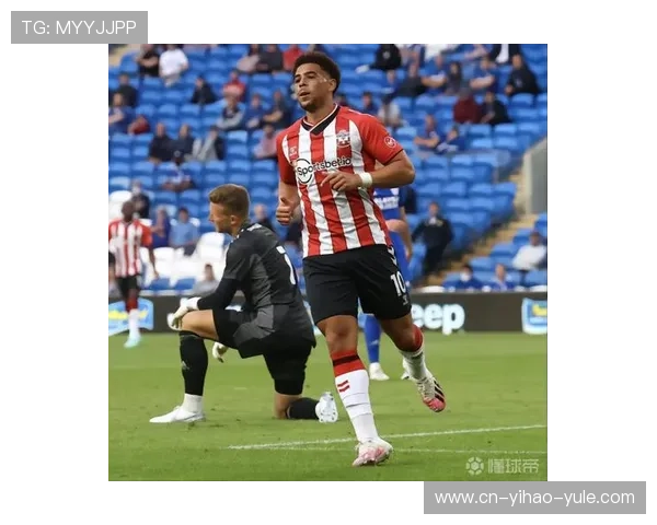 南安普顿足球俱乐部发展历程与辉煌战绩全景解析